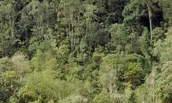 Imagem 3: Terreno 2 hectares c escritura