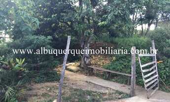 Imagem 4: 2396 - Terreno á venda em Matias Barbosa