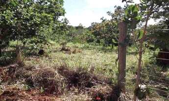 Imagem 2: Chácara de 1.700m² poço de peixe, toda cercada, São Jose do Almeida (Temos varias opções)