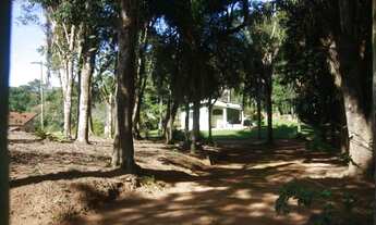 Imagem 6: Oportunidade Sitio de 650 mil por Apenas R$ 355.000,00