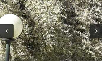 Imagem 7: Apartamento para venda com 52 metros quadrados com 2 quartos em Vila Martins - Goiânia - G