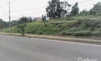 Imagem 3: PORTO ALEGRE - Terreno Padrão - Ipanema