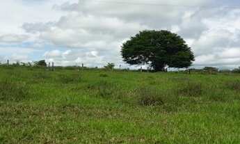 Imagem 5: Vende-se sitio Guarantã do norte - MT