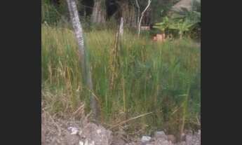 Imagem 3: Terreno 5 por 13