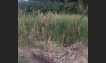 Imagem 2: Terreno 5 por 13