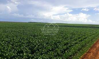 Imagem 5: Coromandel - Fazenda - Centro