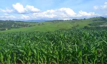 Imagem 3: Lote/Terreno para venda tem 500 metros quadrados em Centro - Atibaia - SP