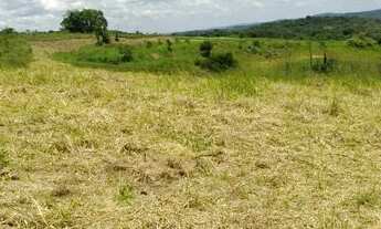 Imagem 6: Chegou a hora de conquistar o terreno para sua casa de campo!!