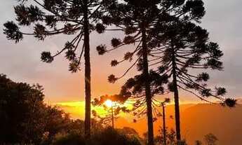 Imagem 5: Terreno no Morro da Igreja