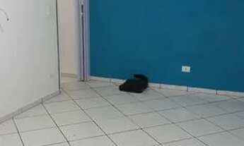 Imagem 3: Sobradinho no Goulart com 2 quartos e quintal privativo