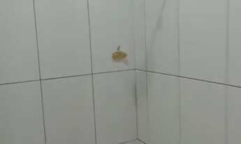 Imagem 6: Aluguel de casa Casa com 2 dormitórios