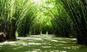 Imagem 2: Terreno Garden Park direto proprietário