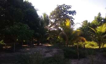 Imagem 5: Terrenos de 300m2