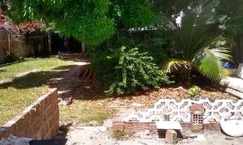 Imagem 4: Casa com um grande quintal individual pau Amarelo