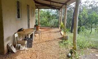 Imagem 6: Chácara rajadinha jardim do Éder