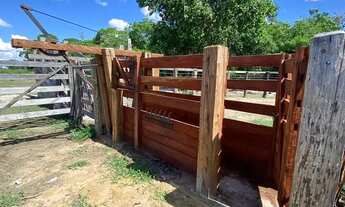 Imagem 6: Fazenda 420 Alqueires ou 2.032,80 hectares