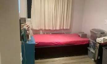 Imagem 3: SAO CAETANO DO SUL - Padrão - Ceramica