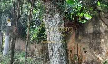Imagem 4: Bolsão de Interlagos, em uma rua larga com segurança, e muito verde
