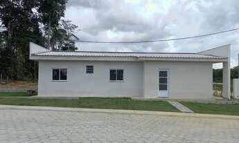 Imagem 6: Jardim dos Anturios / Tarumã - Manaus 9 8 1 0 6 3 2 3 1