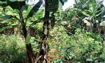 Imagem 5: Bolsão de Interlagos, em uma rua larga com segurança, e muito verde