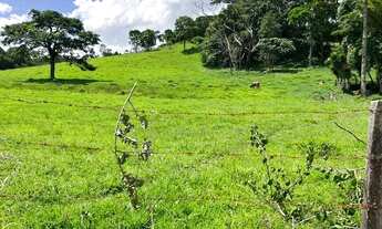 Imagem 5: Lf- Vende-se terreno perfeito para chácara com lazer