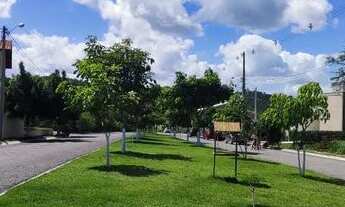 Imagem 7: Terreno de Esquina - Portal de Vigo - Gravata PE
