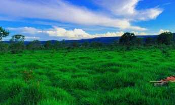 Imagem 4: Fazenda 227ha em Claro dos Poções