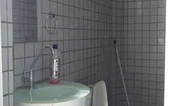 Imagem 4: RESIDENCIAL MORADA VERDE, casa c/ 800m²