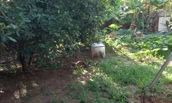 Imagem 6: VENDO CHÁCARA Casa com 2 dormitórios