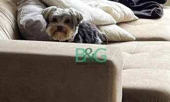 Imagem 3: Apartamento com 2 dormitórios à venda, 55 m² por R$ 369.000 - Vila Carrão - São Paulo/SP