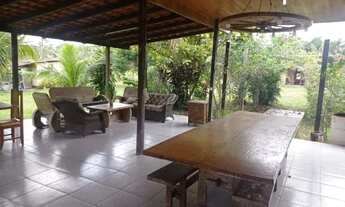 Imagem 6: Chácara à Venda