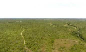 Imagem 4: Fazenda em Rio Sono. Irrigação