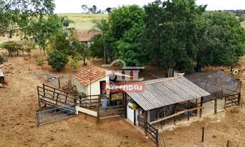 Imagem 6: Chácara 1.19 alqueires 5,8 hectares (58.000 m²) Morrinhos-GO