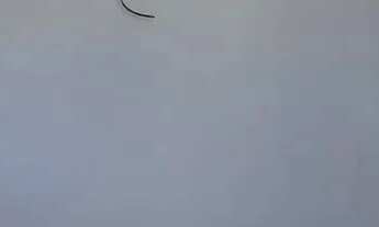 Imagem 4: Apartamento na Lagoa do Araçá Imbiribeira