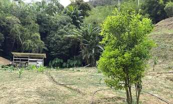 Imagem 4: Chácara na Silveira (área rural com previsão de expansão urbana