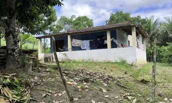 Imagem: Sítio para Venda em Flexeiras, Centro