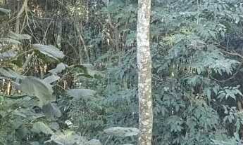 Imagem 3: Terreno à venda, 360 m² por R$ 160.000,00 - Vila Verde - Itapevi/SP