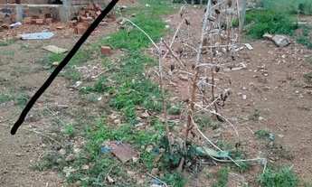 Imagem 5: Vendo lote no jardim promissão Anápolis