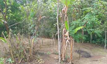 Imagem 3: Ótima chácara na ponte alta