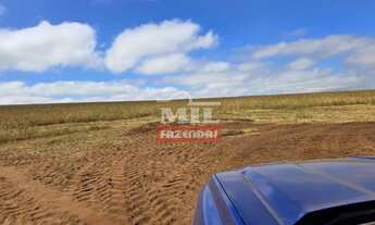 Imagem: Fazenda 116 alqueires (561 hectares) Paraúna