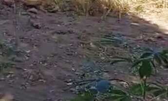 Imagem 5: Vende-se terreno em nobres. Ótimo preço