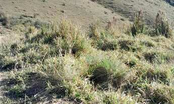 Imagem 5: Vende se um terreno no pouso alegre