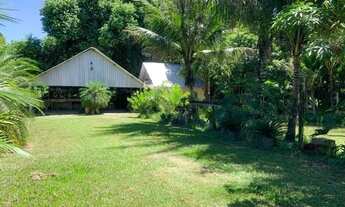 Imagem 6: Chacara 3200m2 a 15 minutos do centro de Castelo