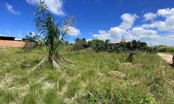 Imagem 2: Terreno próximo à rodovia - Massagueira -AL - 1297m2 - R$ 350 mil