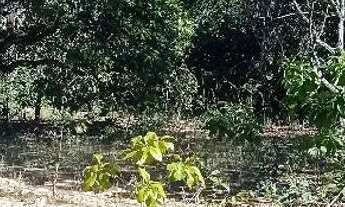 Imagem 3: Terreno na Chapada dos Veadeiros