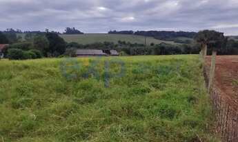 Imagem 7: Chácara em Santa Terezinha de Itaipu - PR