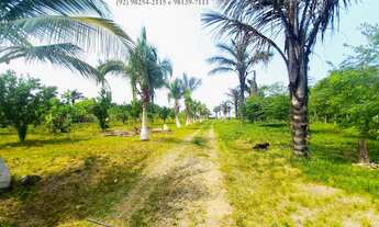 Imagem 4: Fazenda Sítio Chácara Ramal 28 de Agosto Iranduba 38.200m² Igarapé Rio Lago Financia Manau