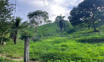 Imagem 7: Chácara 6.61 alqueires em Itapuranga