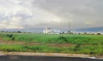 Imagem: Terreno disponível para venda no bairro