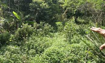 Imagem 6: Venda de AMPLO Terreno com vista para praia de Moçambique - Florianópolis - SC